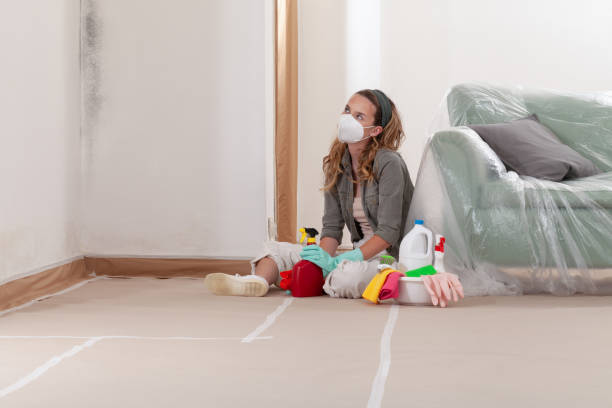 Reliable Basement Mold Remediation contractor in Ellicott City, MD by Mold Remediation HQ